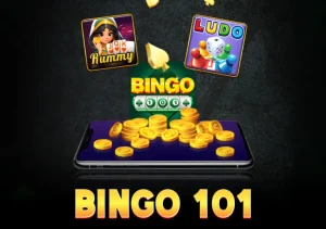 bingo 101